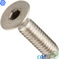 Stainless Steel Socket Cap Screw